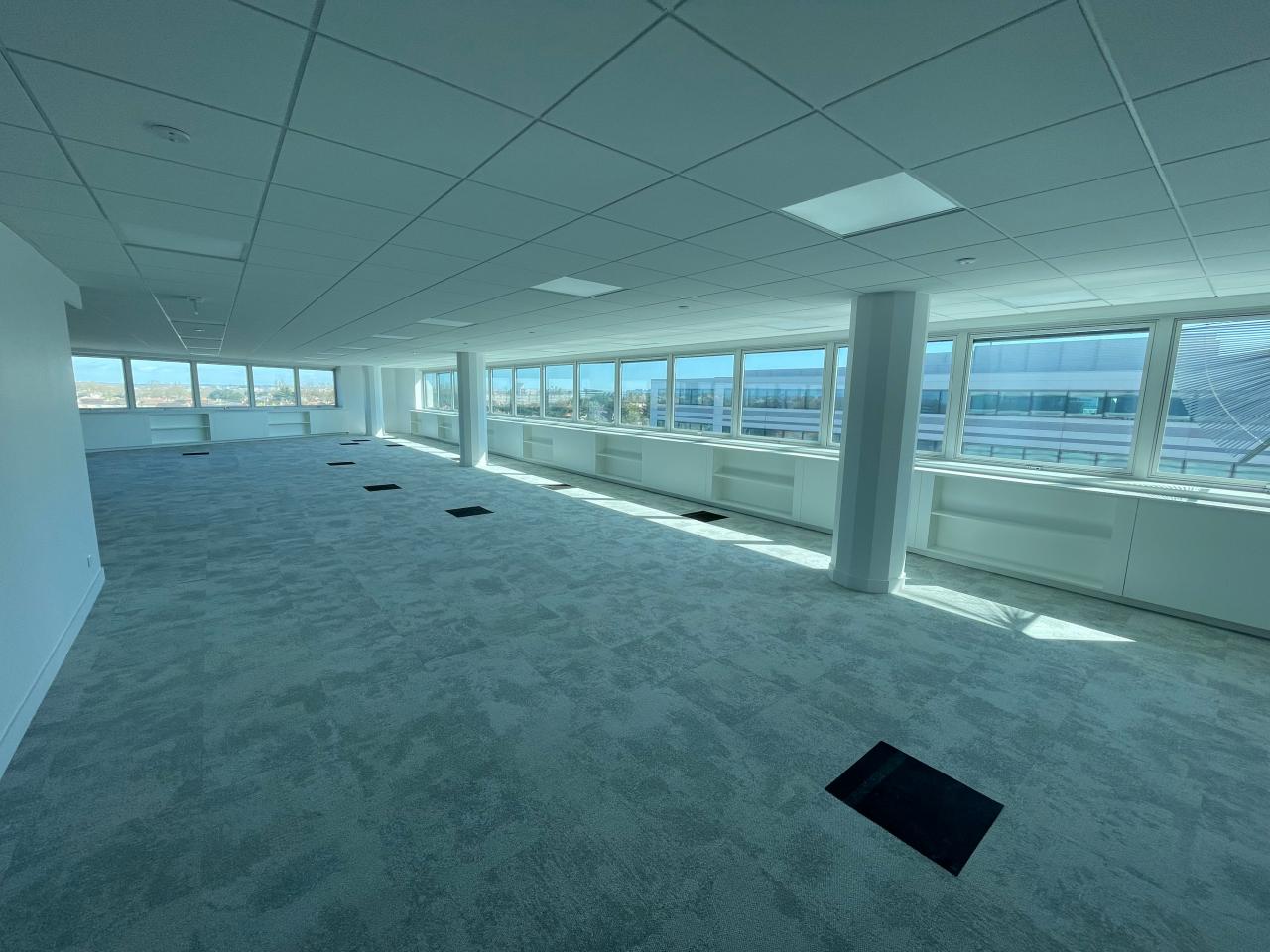 Bureau Blagnac 8665m² Location bureau Blagnac Haute-Garonne OLBUR2118051 26